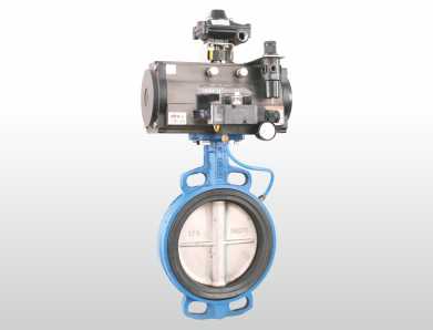 Inflatable Seated with Replaceable Seat Pneumatic Butterfly Valve